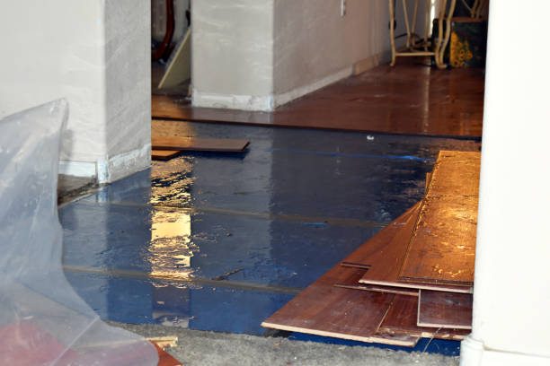 Professional Burst Pipe Cleanup technician working in Newburg, WI